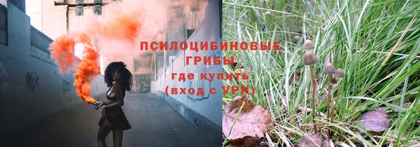 альфа пвп Заводоуковск